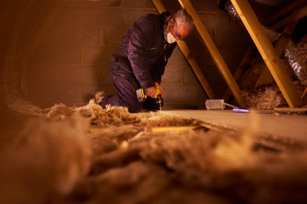 Professional Insulation Contractor in Thiensville, WI